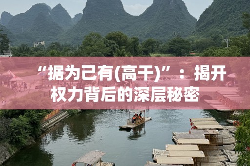 “据为己有(高干)”：揭开权力背后的深层秘密