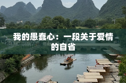 我的愚蠢心：一段关于爱情的自省