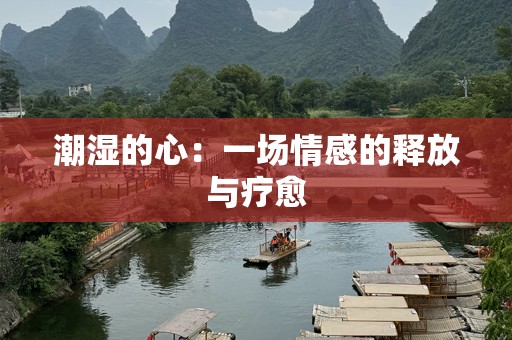 潮湿的心：一场情感的释放与疗愈