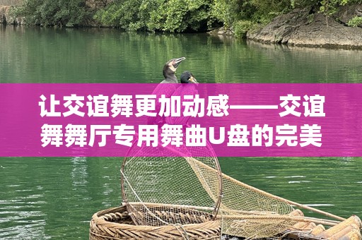 让交谊舞更加动感——交谊舞舞厅专用舞曲U盘的完美选择