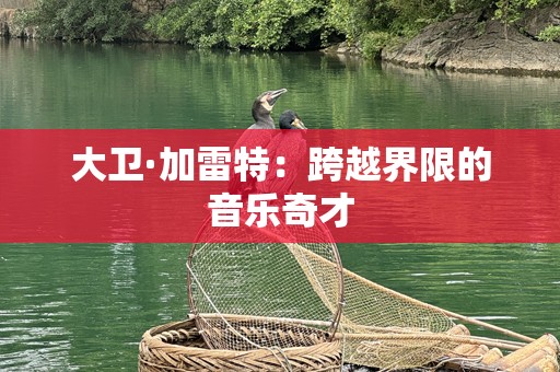 大卫·加雷特：跨越界限的音乐奇才