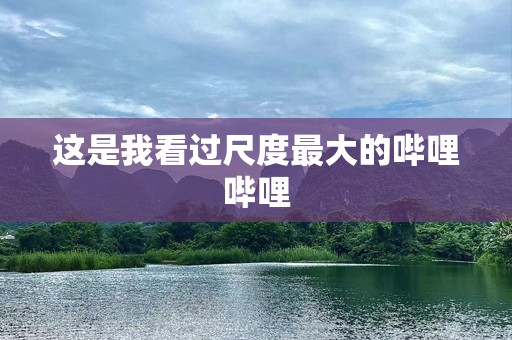 这是我看过尺度最大的哔哩哔哩