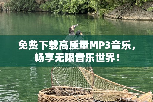 免费下载高质量MP3音乐，畅享无限音乐世界！