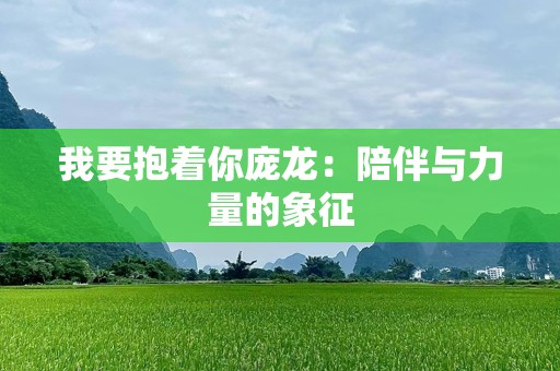 我要抱着你庞龙：陪伴与力量的象征