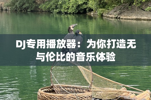DJ专用播放器：为你打造无与伦比的音乐体验