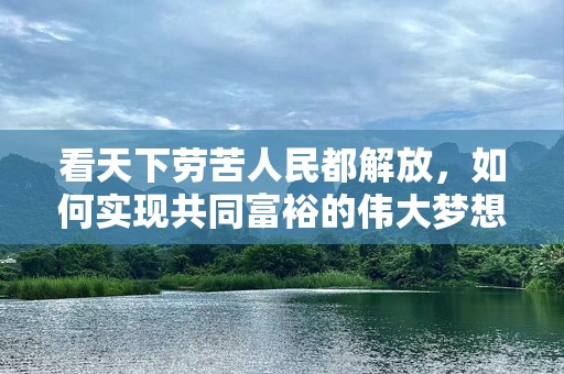 看天下劳苦人民都解放，如何实现共同富裕的伟大梦想？