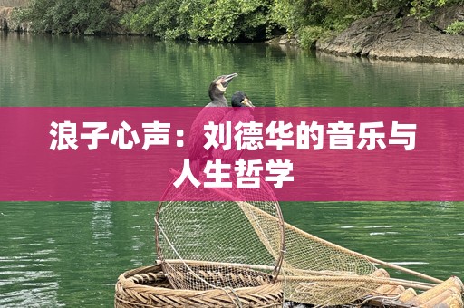 浪子心声：刘德华的音乐与人生哲学