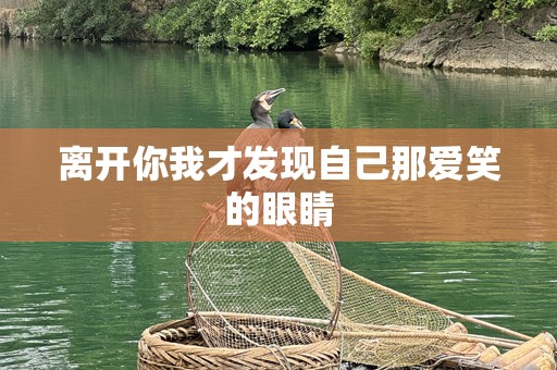 离开你我才发现自己那爱笑的眼睛