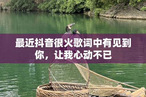 最近抖音很火歌词中有见到你，让我心动不已