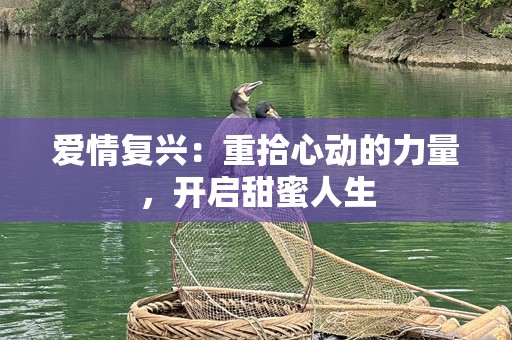 爱情复兴：重拾心动的力量，开启甜蜜人生
