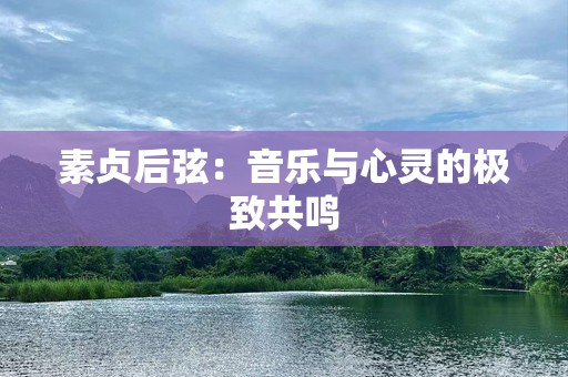 素贞后弦：音乐与心灵的极致共鸣