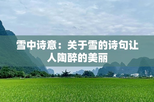 雪中诗意：关于雪的诗句让人陶醉的美丽