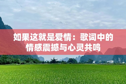 如果这就是爱情：歌词中的情感震撼与心灵共鸣