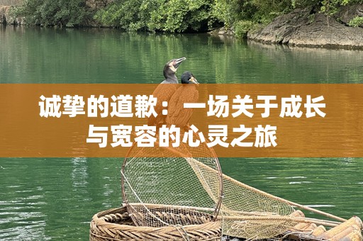 诚挚的道歉：一场关于成长与宽容的心灵之旅