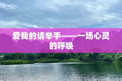爱我的请举手——一场心灵的呼唤
