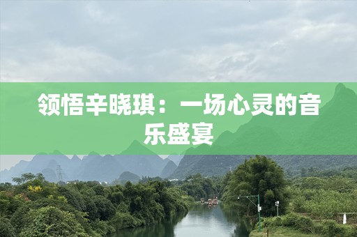 领悟辛晓琪：一场心灵的音乐盛宴