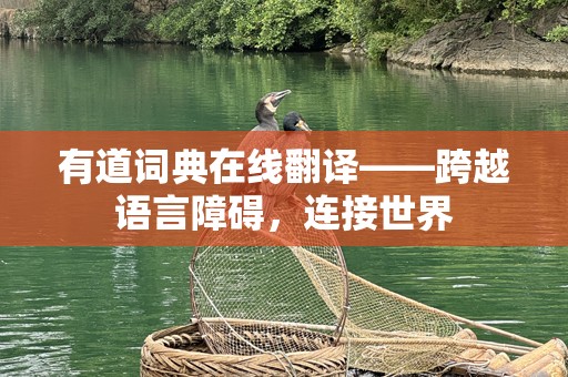 有道词典在线翻译——跨越语言障碍，连接世界