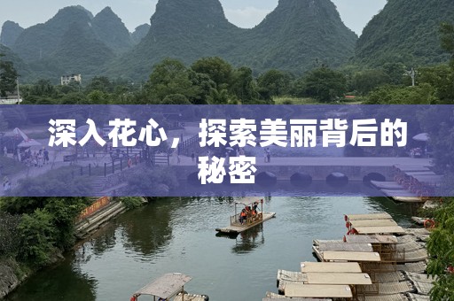 深入花心，探索美丽背后的秘密