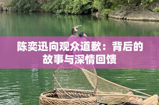 陈奕迅向观众道歉：背后的故事与深情回馈