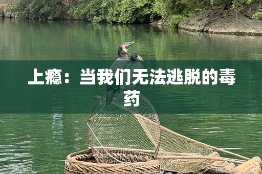 上瘾：当我们无法逃脱的毒药
