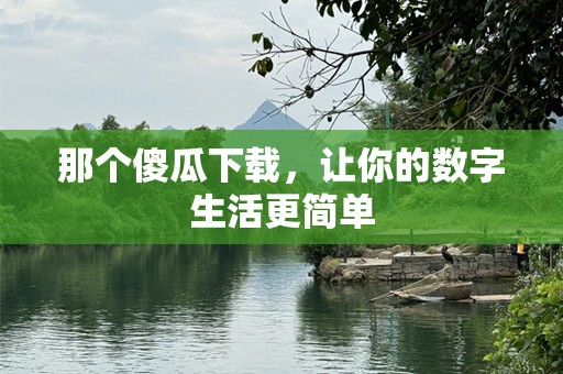 那个傻瓜下载，让你的数字生活更简单