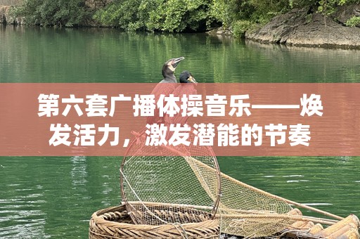 第六套广播体操音乐——焕发活力，激发潜能的节奏