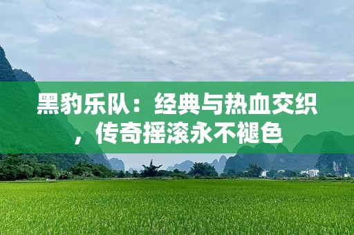 黑豹乐队：经典与热血交织，传奇摇滚永不褪色