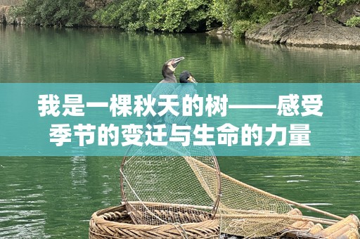 我是一棵秋天的树——感受季节的变迁与生命的力量