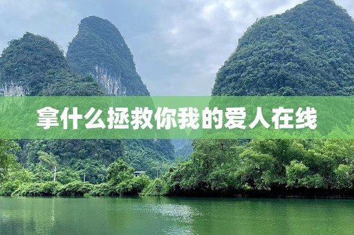 拿什么拯救你我的爱人在线