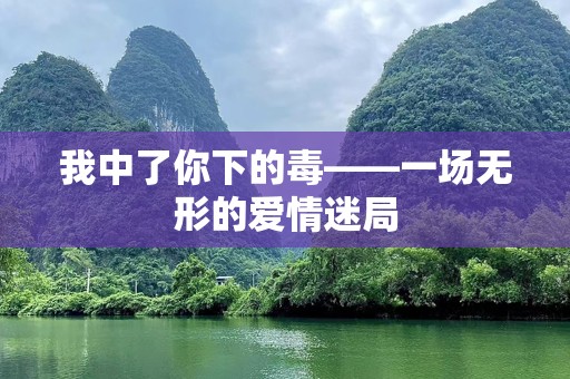 我中了你下的毒——一场无形的爱情迷局