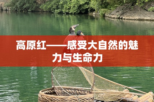 高原红——感受大自然的魅力与生命力