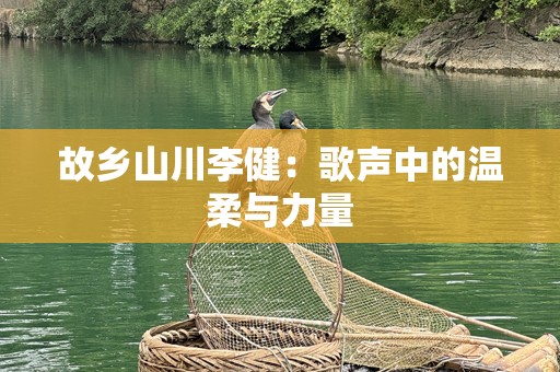 故乡山川李健：歌声中的温柔与力量