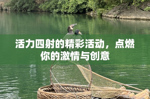 活力四射的精彩活动，点燃你的激情与创意
