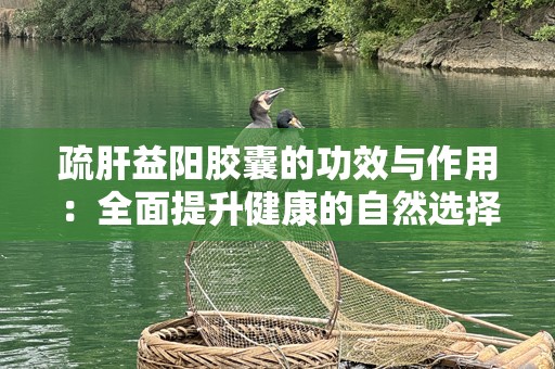 疏肝益阳胶囊的功效与作用：全面提升健康的自然选择