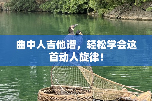 曲中人吉他谱，轻松学会这首动人旋律！