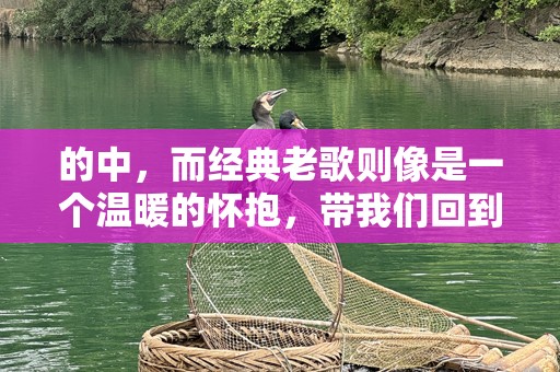 的中，而经典老歌则像是一个温暖的怀抱，带我们回到那个简单而纯粹的年代。无论是独自一人，还是和朋友们聚在一起，这些老歌总能引发内心的共鸣，带给我们不一样的情感体验。