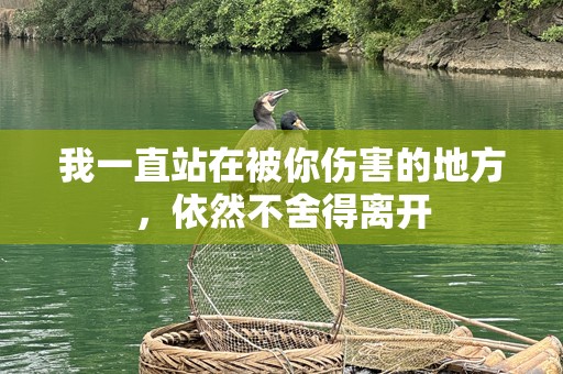 我一直站在被你伤害的地方，依然不舍得离开