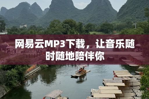 网易云MP3下载，让音乐随时随地陪伴你