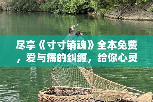 尽享《寸寸销魂》全本免费，爱与痛的纠缠，给你心灵的震撼！
