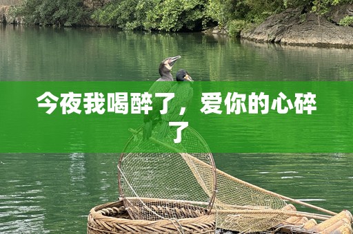 今夜我喝醉了，爱你的心碎了
