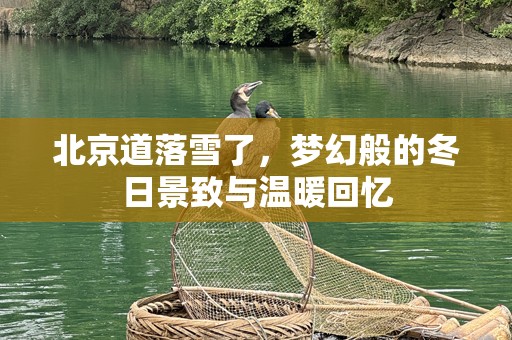 北京道落雪了，梦幻般的冬日景致与温暖回忆