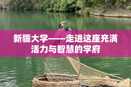 新疆大学——走进这座充满活力与智慧的学府