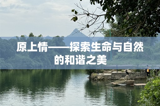 原上情——探索生命与自然的和谐之美