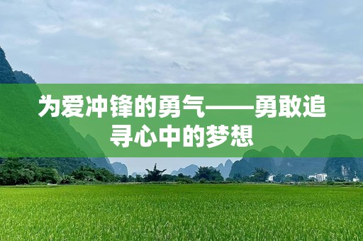 为爱冲锋的勇气——勇敢追寻心中的梦想