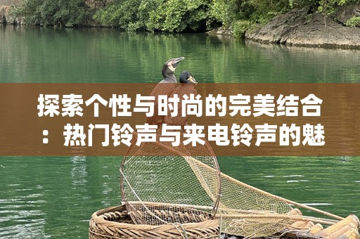 探索个性与时尚的完美结合：热门铃声与来电铃声的魅力