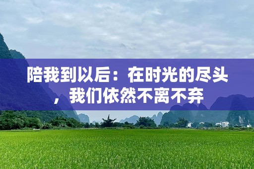 陪我到以后：在时光的尽头，我们依然不离不弃