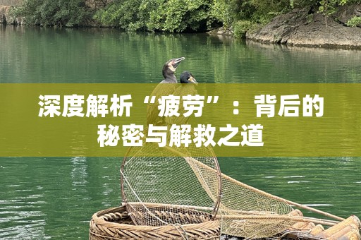 深度解析“疲劳”：背后的秘密与解救之道