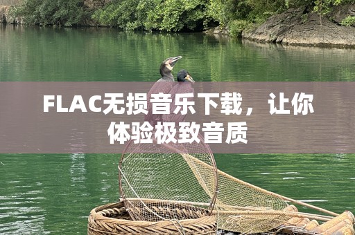 FLAC无损音乐下载，让你体验极致音质