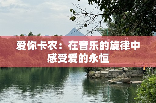 爱你卡农：在音乐的旋律中感受爱的永恒