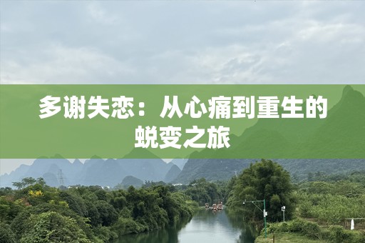 多谢失恋：从心痛到重生的蜕变之旅